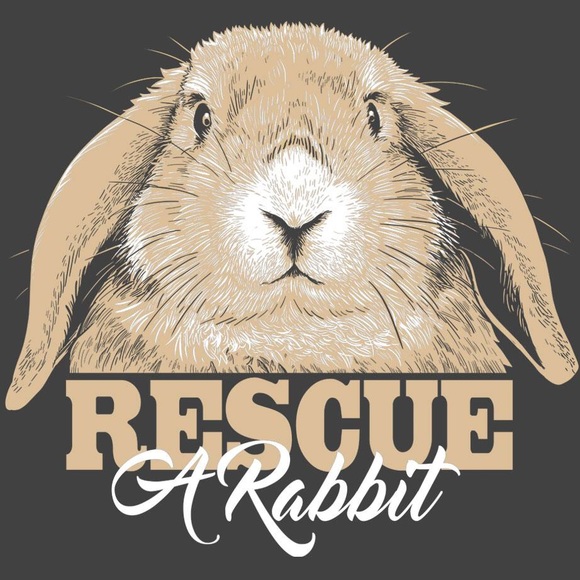 Meet your Posher, Darby - Picture 2 of 5